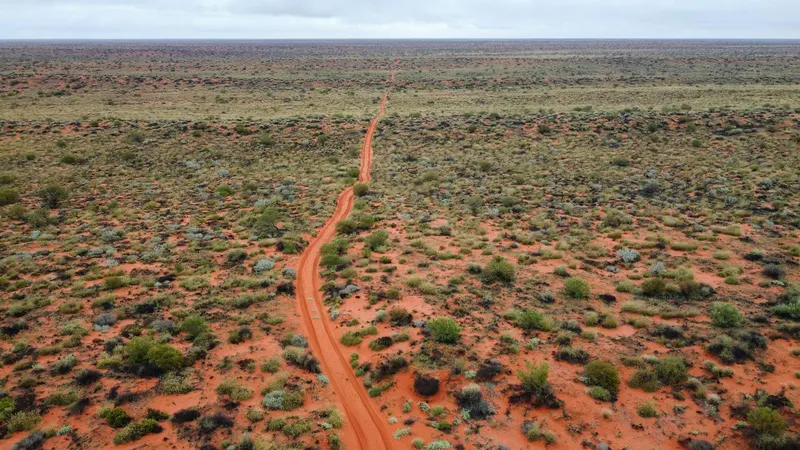 Australisches Outback bei Alice Springs