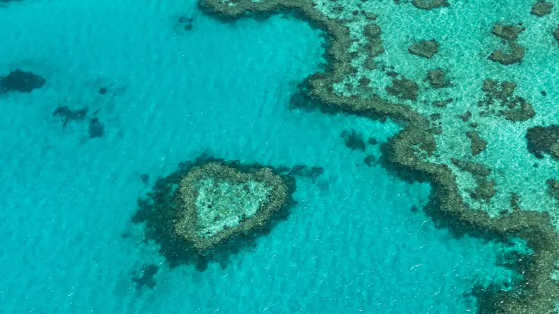 Great Barrier Reef aus der Luft