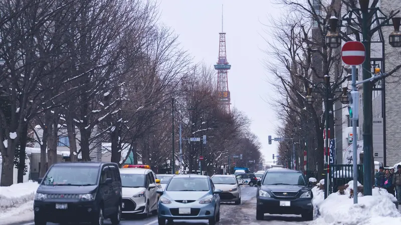 Winter in Hokkaido