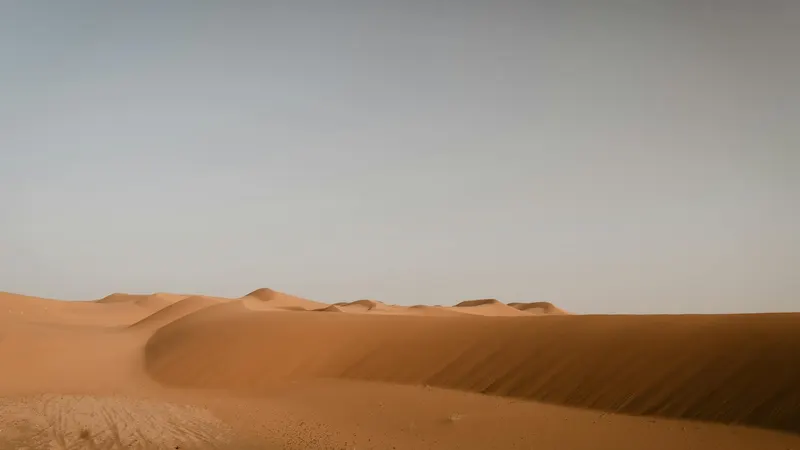 Sahara-Dünen bei Erg Chebbi