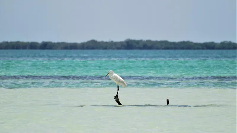 Holbox island in Mexico