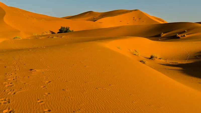 Goldene Dünen der Sahara bei Sonnenuntergang