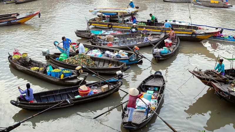 Mekong-Delta